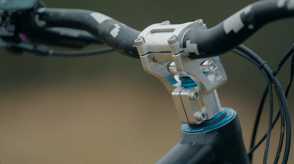 This stem could change everything (not an ad)